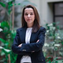 Prof. Seda Erdogan Prof. Seda Erdogan