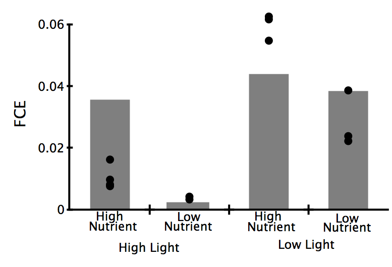 Stoichiometric Ecotoxicology Diagram