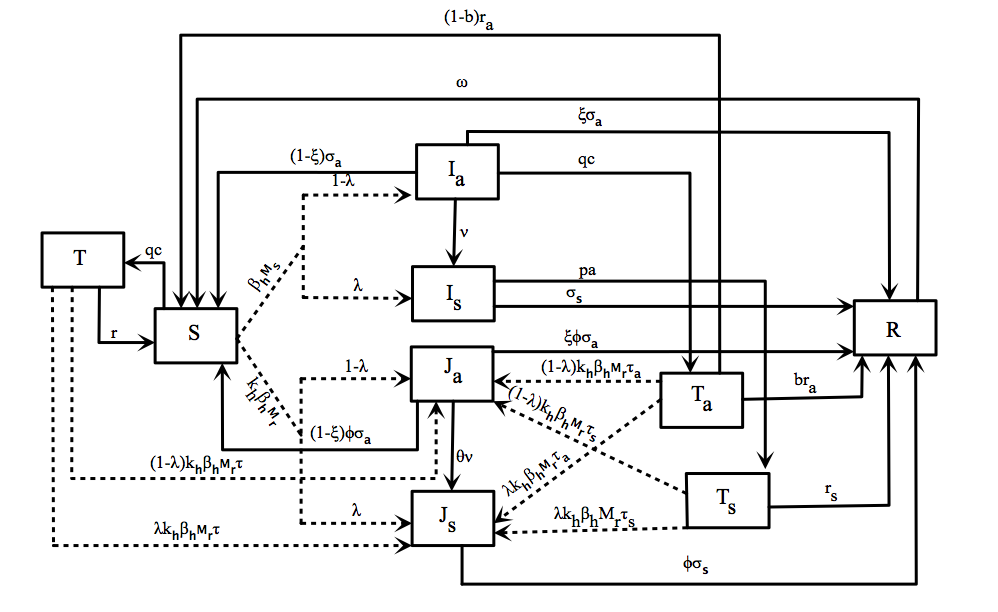 Malaria model diagram